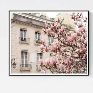 Paris Photography, Magnolia Trees in Bloom, Paris in the Springtime, Pink Magnolia Trees, Nursery Decor, Paris Home Decor, Paris in Bloom