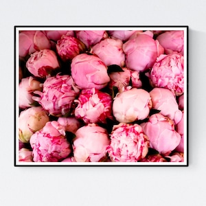 Paris Photography, Fragrant Pink Peonies, French Market in Southern France, Pink Wall Art, French Print, Peony in France, Paris Pink Art image 1