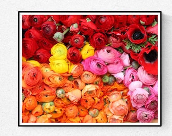 Flower Photography, Romantic Ranunculus For Sale in Paris, Paris Photography red, nature photography, orange - yellow - pink - flower decor