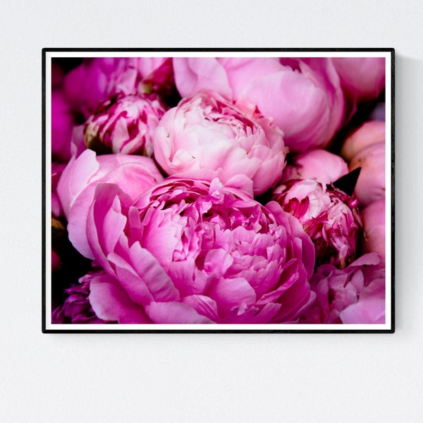 Nature Photograph, Fragrant Bright Pink Peonies, Summer in Southern France, Bathroom Wall Art, Pink wall art, nature photo, Girls Room Art