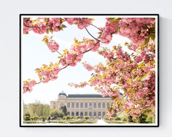 Paris Photography, Jardin des Plants in Spring, A Year in Paris, Spring in Paris, Cherry Blossom Season, Paris Landscape Print