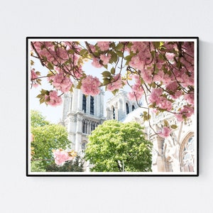 Paris Photography, Notre Dame Paris in Bloom, Pink Cherry Blossoms, Paris Bedroom Art, Spring in Paris, Paris Home Decor, April in Paris