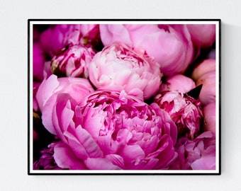 Fotografía de la naturaleza, peonías rosas brillantes fragantes, verano en el sur de Francia, arte de la pared del baño, arte de la pared rosa, foto de la naturaleza, arte de la habitación de las niñas