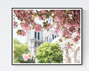 Paris Photography, Notre Dame Paris in Bloom, Pink Cherry Blossoms, Paris Bedroom Art, Spring in Paris, Paris Home Decor, April in Paris