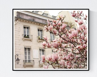 Paris Photography, Magnolia Trees in Bloom, Paris in the Springtime, Pink Magnolia Trees, Nursery Decor, Paris Home Decor, Paris in Bloom