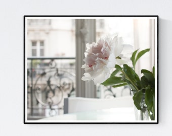 Paris Fotografie, Abendlicht in der Wohnung, Paris Baby Rosa Pfingstrose, Alltag in Paris, Eisen Balkon, Paris Frühlingsfoto, Pfingstrose