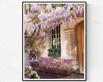 Paris Wisteria Photography Print, Ile de la Cite, Spring in Paris