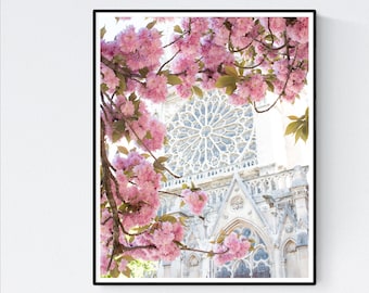 Paris Photography, Right Bank Paris in Bloom, Pink Cherry Blossoms, Paris Bedroom Art, Spring in Paris, Paris Home Decor, April in Paris