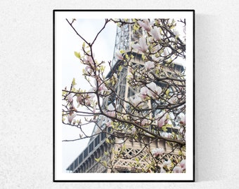 Paris Photography, Spring Magnolia Seizoen, Parijs in de lente, Eiffeltoren, Paris Home Decor, Blush Pink, Parijs in Bloom