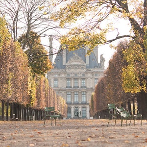 Fall Light in the Tuileries, Paris France, Paris Gardens, Paris decor, Living Room Wall Art, Parisian, French Decor