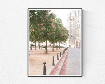Paris Photography, Spring in Place Dauphine, Quiet Corners of