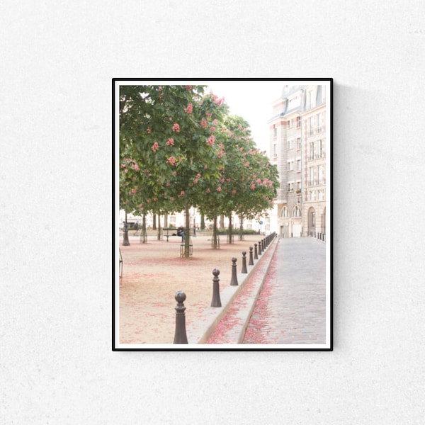 Paris Photography, Spring in Place Dauphine, Quiet corners of Paris, french decor, Paris street photography, Dining Room Decor, Paris Art