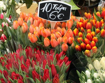 Fotografía de París, Tulipanes de primavera a la venta en París, París Impresión, Arte de baño, Foto de flores, arte de cocina, Primavera en Francia