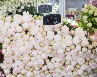 White Peonies in Paris, Parisian Flower Market, flower photography, paris home decor, Bathroom Wall Art, Everyday Parisian