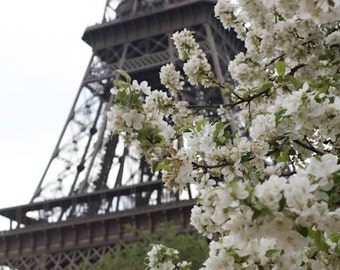 Fotografía de París, me encanta París en la primavera, flores blancas, Torre Eiffel, decoración de casa de París, arte de la pared blanca De París, arquitectura