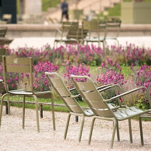May include: A row of green metal chairs are arranged in a semi-circle in a garden setting. The chairs face a bed of pink flowers.