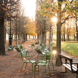 May include: A park bench sits in the middle of a path lined with trees in autumn. The leaves are turning yellow and orange. The sun is shining through the trees, creating a warm glow. There are several green metal chairs scattered throughout the path.