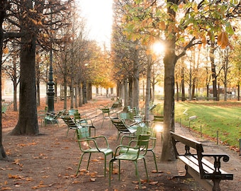 Paris Photography, Autumn Light in The Tuileries, Paris France, Paris Gardens, Paris decor, Fall Leaves, Rebecca Plotnick, Parisian, French