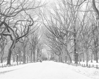 May include: A black and white photograph of a snow-covered path lined with bare trees in a park. The path leads to a distant point in the background.