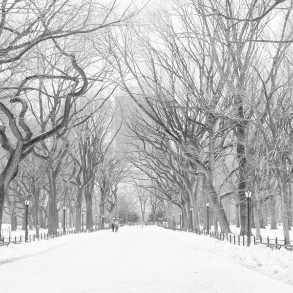 New York City Photography, Snow in Central Park, Poets Walk, Living Room Art,Winter in NYC, Central Park Stroll, Black and white Photography