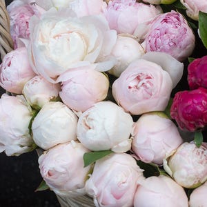 Paris Photography, Paris Pink Peonies, French Market, Parisian Florist, Market Basket, Pink Wall Art, French Print, Peony in France