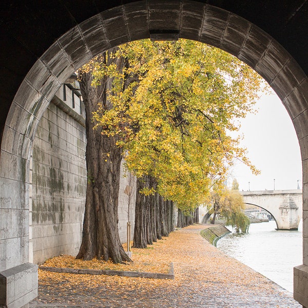 Paris Photography, Fall Walks on the Seine, Paris, Autumn in France, Everyday Parisian, Paris Art, Living Room Wall Art, Paris in the Fall