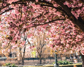 Paris Photography, Underneath the Cherry Blossoms, Spring in Paris, Pink Paris Wall Art, Cherry Blossom Paris Photo, Paris, April Paris