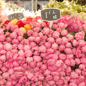 Naturfotografie, Rosa Pfingstrosen, Sommer in Paris, Französische Wanddekoration, Rosa Wandkunst, Naturfoto, Bürokunst, Paris Markt
