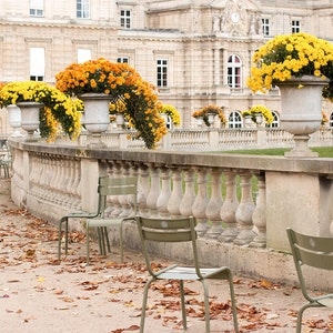 Paris Photography, The Colors of Fall in Jardin du Luxembourg, Fall leaves in Paris, Paris Wall Art, Luxembourg Gardens, Rebecca Plotnick