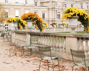 Paris Photography, The Colors of Fall in Jardin du Luxembourg, Fall leaves in Paris, Paris Wall Art, Luxembourg Gardens, Rebecca Plotnick