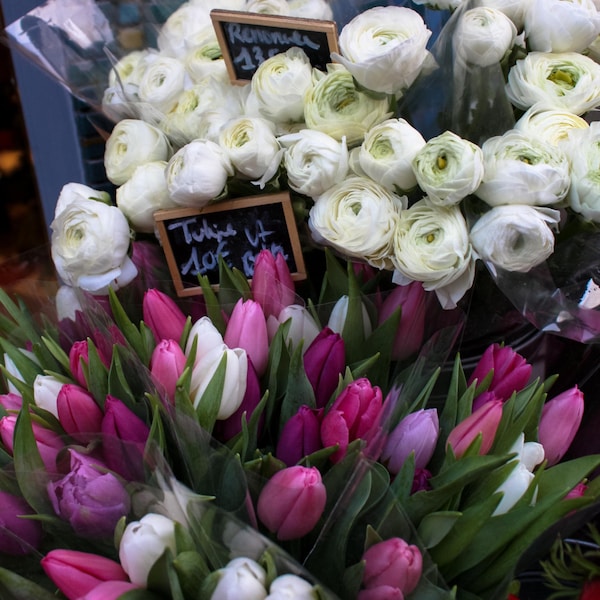 Paris Photography, Purple and Pink Tulips and White Ranunculus for Sale in Paris, Paris Print, Bathroom Art, Flower Photo, kitchen art