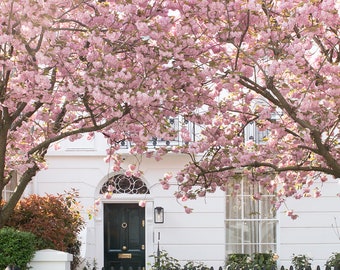 London Photography, Door 1, Cherry Blossom Season, London in the Spring