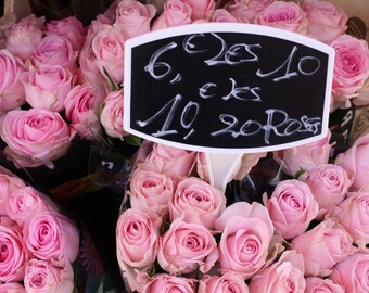 Paris Photography, Pink Paris Roses for Sale ,Nature Photography, Bedroom Wall Art, Pink Paris Gallery Wall Art, Paris Print for Sale