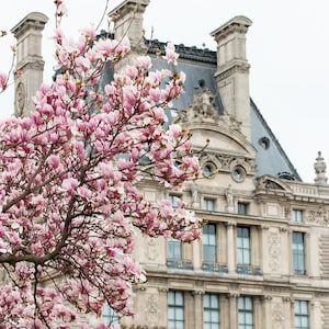 Paris Photography, Magnolia Season in Paris, Paris in the Springtime, Paris Home Decor, Louvre, Blush Pink, Paris in Bloom, Pink Wall Art