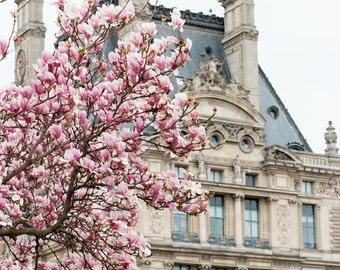 Paris Photography, Louvre, Pink Magnolia Blossom, Springtime Decor