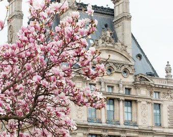 Paris Photography, Magnolia Season in Paris, Paris in the Springtime, Paris Home Decor, Louvre, Blush Pink, Paris in Bloom, Pink Wall Art