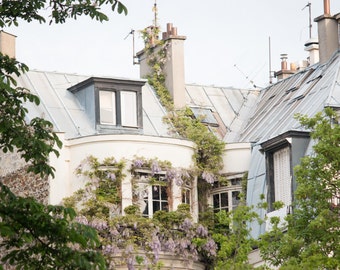 Paris Photography, Paris Wisteria Fairytale Window, Spring in Paris, Gallery Wall Art, Nature, Parisian Window, Paris Garden