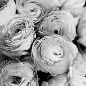 May include: A close-up of a bouquet of white ranunculus flowers. The flowers are arranged in a cluster, with the petals overlapping and creating a soft, delicate texture.