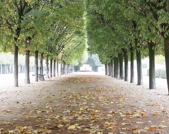 Paris Photography, Autumn in Palais Royal, Quiet corners of Paris, french decor, Paris park, Dining Room Decor, Paris Art, Parisian