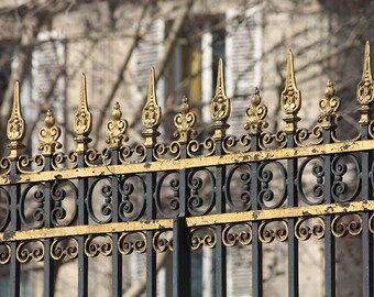 Paris Photography,Gold Gate of Parc Monceau, Paris in the Spring, Paris Landscape Print, Gold Gate Paris, Rebecca Plotnick