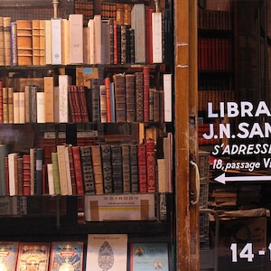 Paris Photography, Books for sale at the Passage Verdeau, France, antique books in France, library, brown, Office Decor, Paris Print