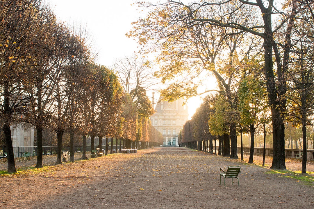 Paris Photography Fall Light in the Tuileries Paris France - Etsy