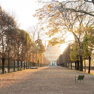 Paris Photography, Fall Light in the Tuileries, Paris France, Paris Gardens, Paris decor, Living Room Wall Art, Parisian, French Decor