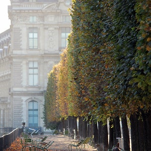 Paris Photography, Afternoon light in the Tuileries, Paris France, Paris Gardens, Paris decor, Nature, Paris in the Autumn
