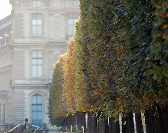 Paris Photography, Afternoon light in the Tuileries, Paris France, Paris Gardens, Paris decor, Nature, Paris in the Autumn