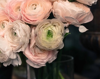 Paris Photography, Romantic &quot;Pink Ranunculus&quot; for sale in Paris, France, nature decor, baby pink, paris pink wall art, french decor