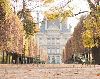 Paris Photography, Autumn Light in the Tuileries, Paris France, Paris Gardens, Paris decor, Living Room Wall Art, Parisian, French Decor