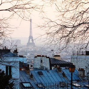 May include: A view of the Eiffel Tower in Paris, France, seen from a distance through the branches of a bare tree. The tower is in the background, and the foreground shows the rooftops of buildings in the city.