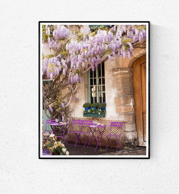topfpflanze rose Bodendeckerrose 'Bienenweide'® Gelb main image 1