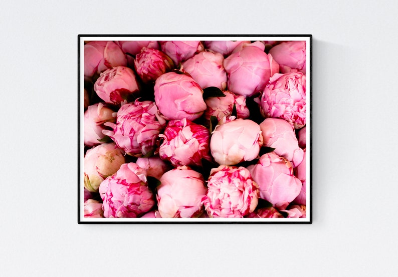 Paris Photography, Fragrant Pink Peonies, French Market in Southern France, Pink Wall Art, French Print, Peony in France, Paris Pink Art image 1